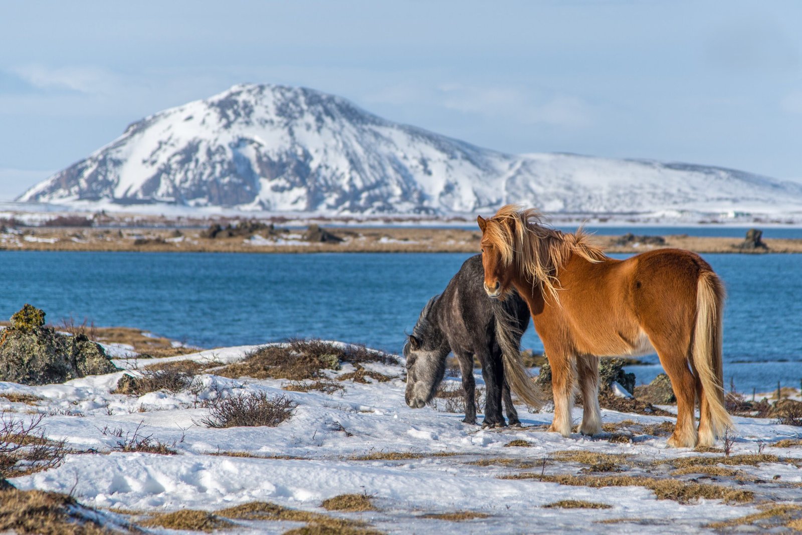 Luxury Arctic travel – Svalbard polar bears Northern Lights The Other Way