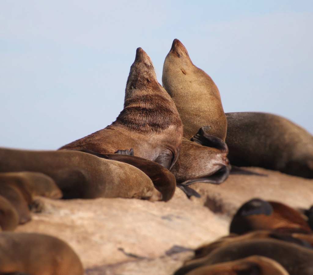 Luxury Travel Destinations the other way