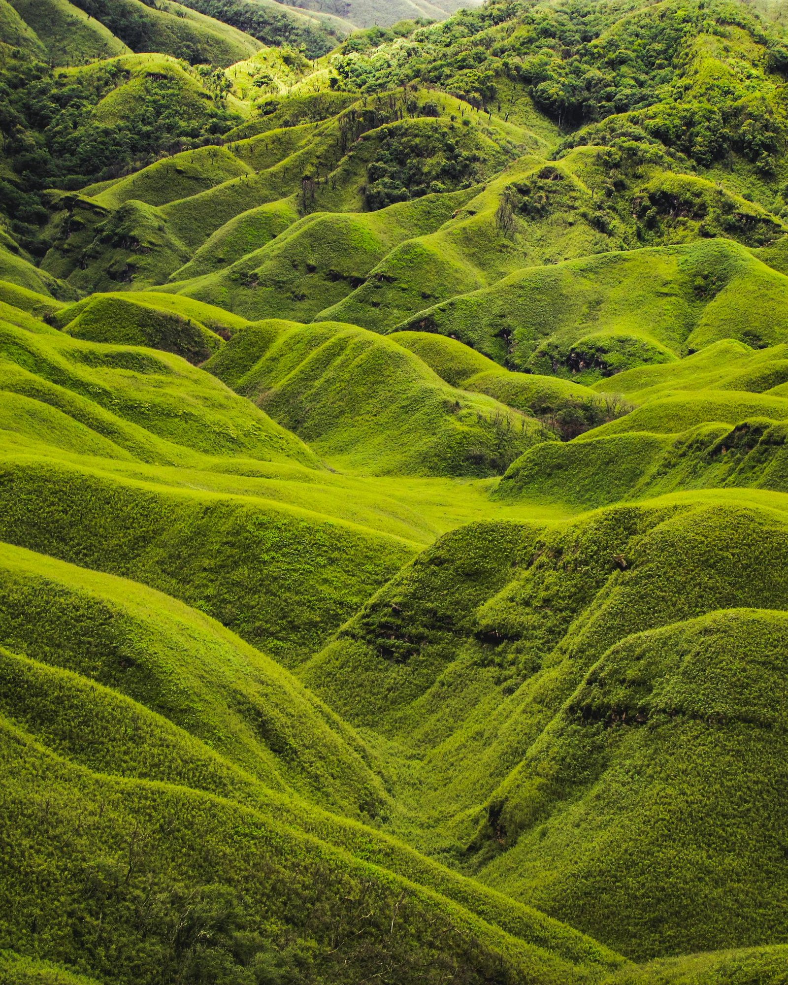 offbeat luxury travel India | Nagaland