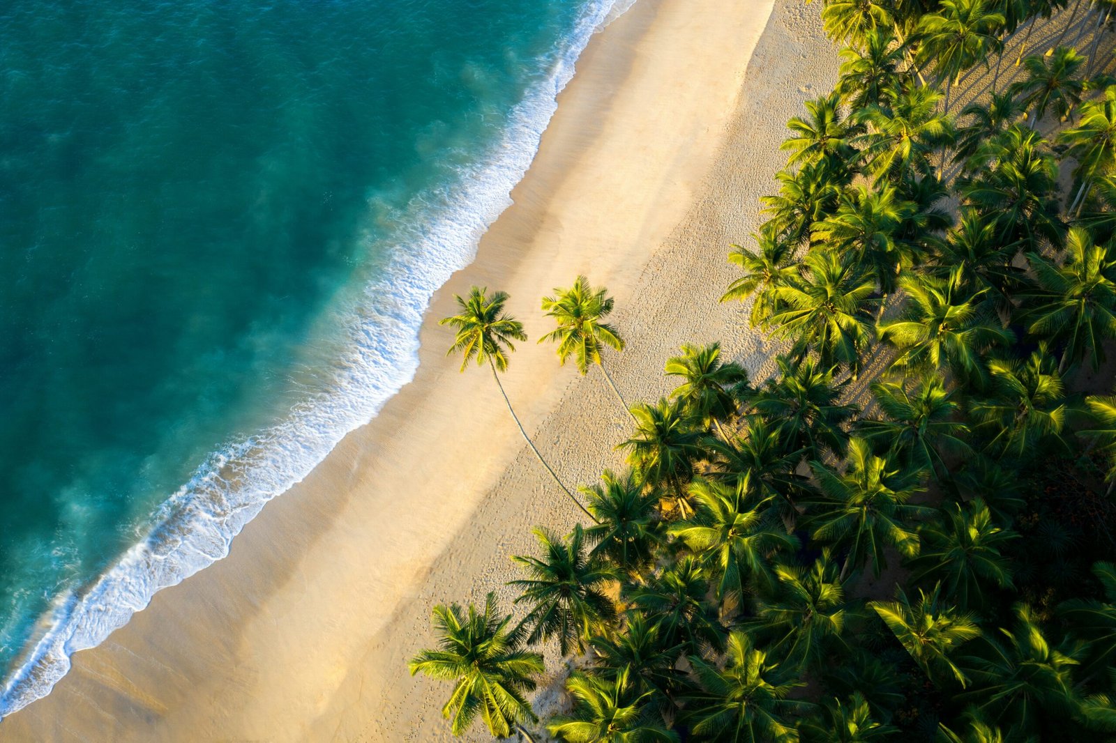 Luxury Sri Lanka travel – tea estates and Indian Ocean beaches