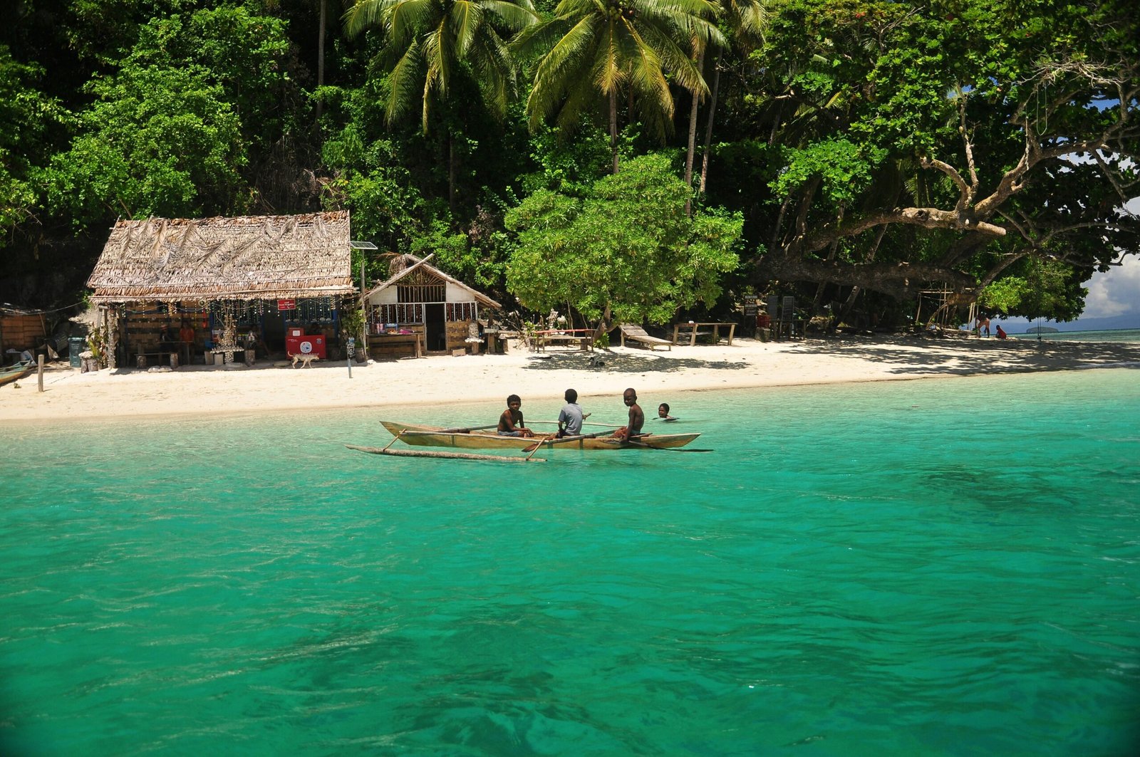 Luxury Indonesia Bali travel – Raja Ampat reef and Ubud rice terraces