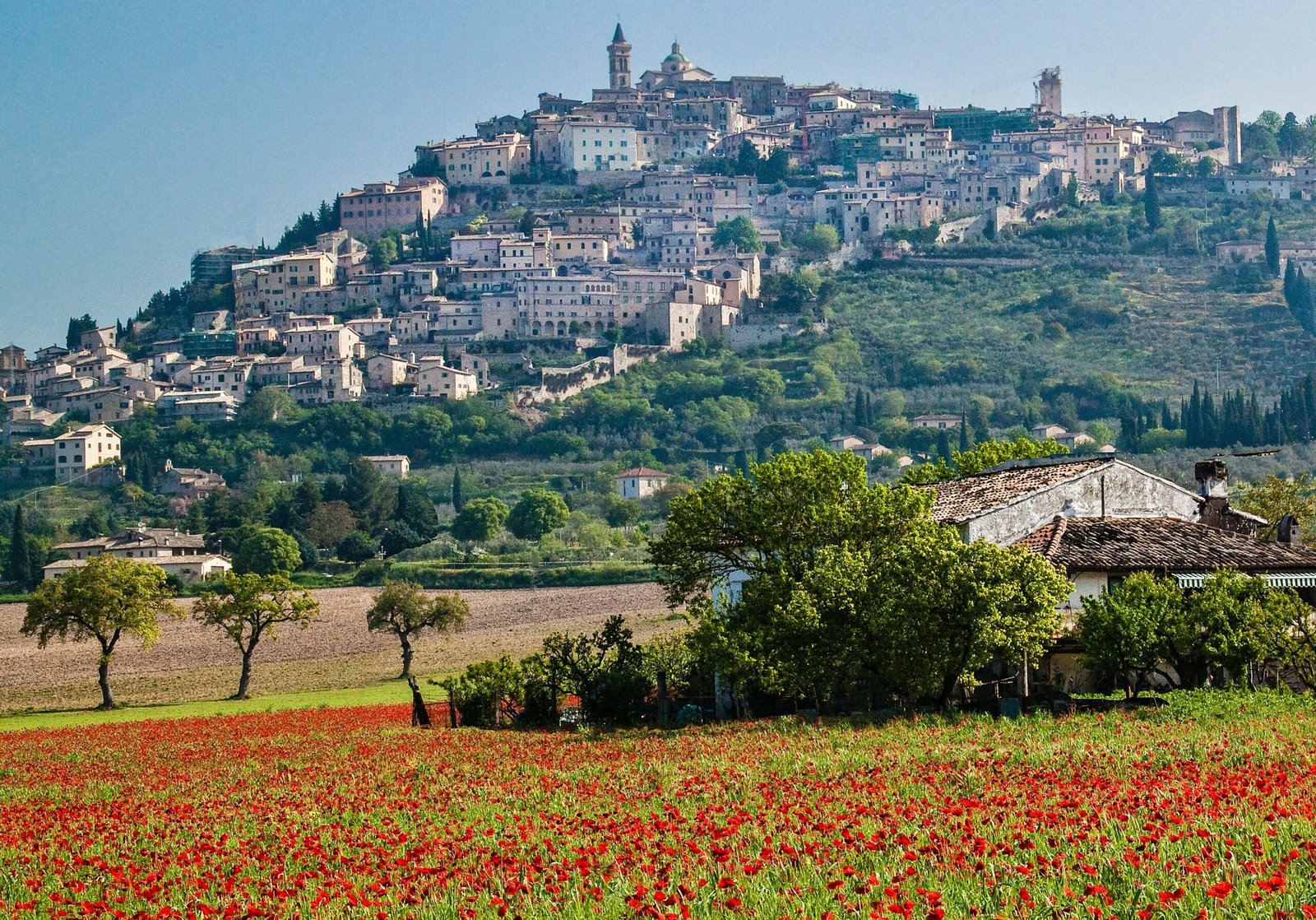 Luxury Europe travel experience – truffle hunt Tuscany The Other Way