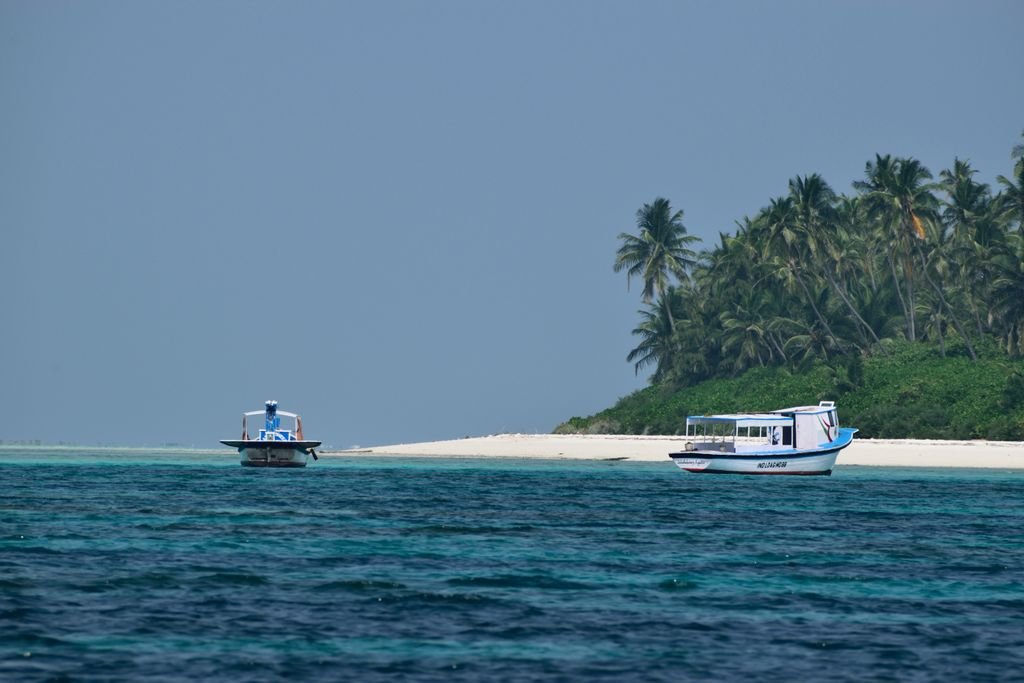 Explore the serene tropical beauty of two boats near a lush palm-lined island in India.