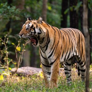 WhatsApp Image 2025-09-28 at 20.29.55_ec4b496d