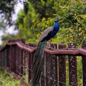 WhatsApp Image 2025-09-28 at 20.34.19_f19c1a56