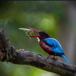 WhatsApp Image 2025-09-28 at 20.34.20_3941b4fe